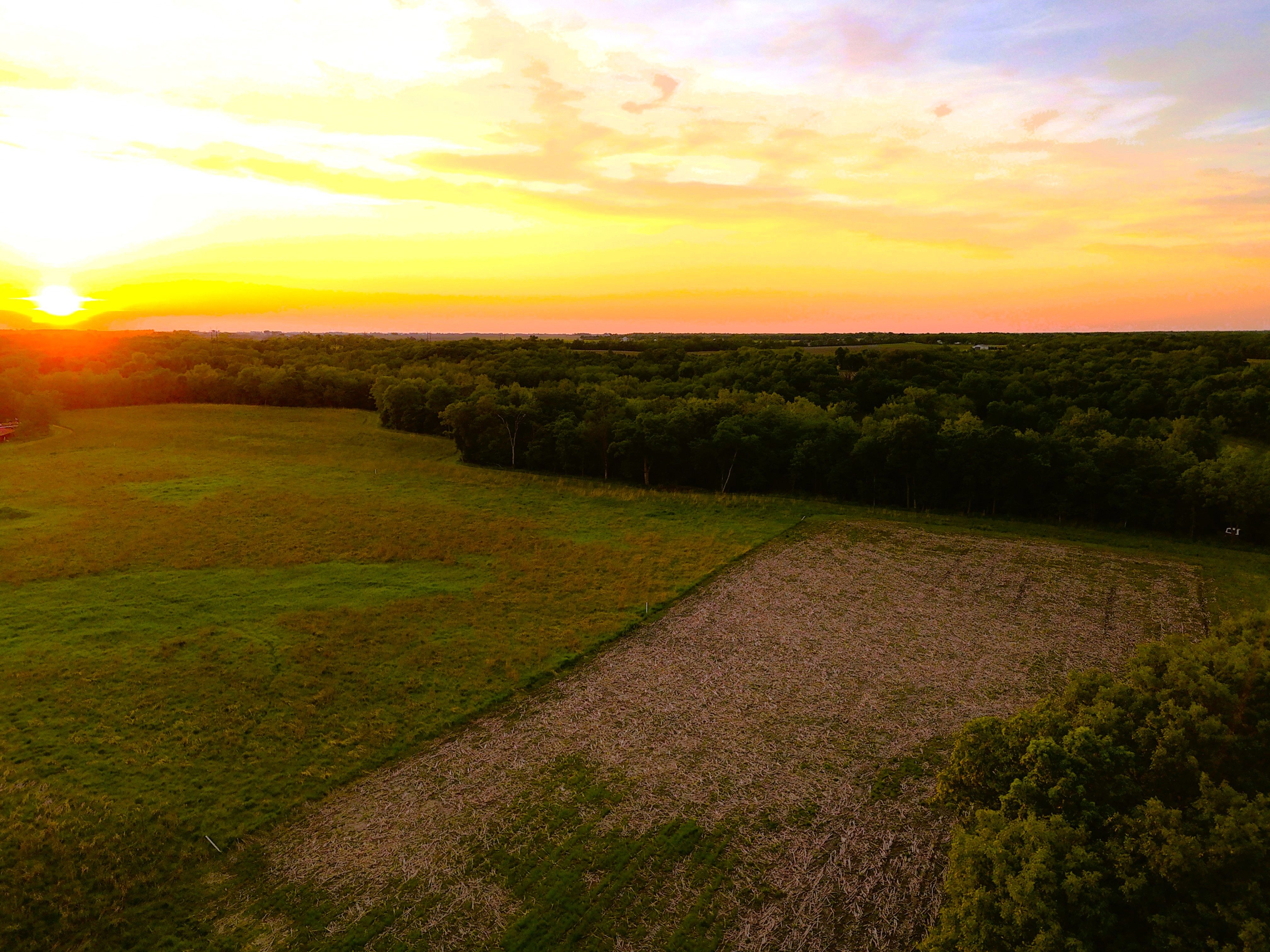 Listing Photo: ss foodplot